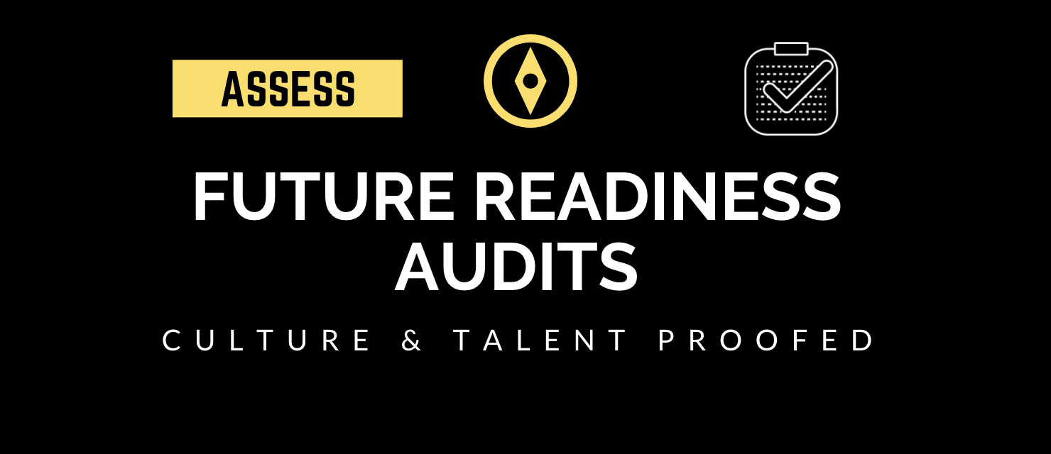 Future Readiness Audits